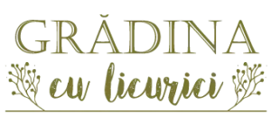 Gradina -client Digital Interaction