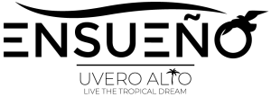 Ensueno -client Digital Interaction