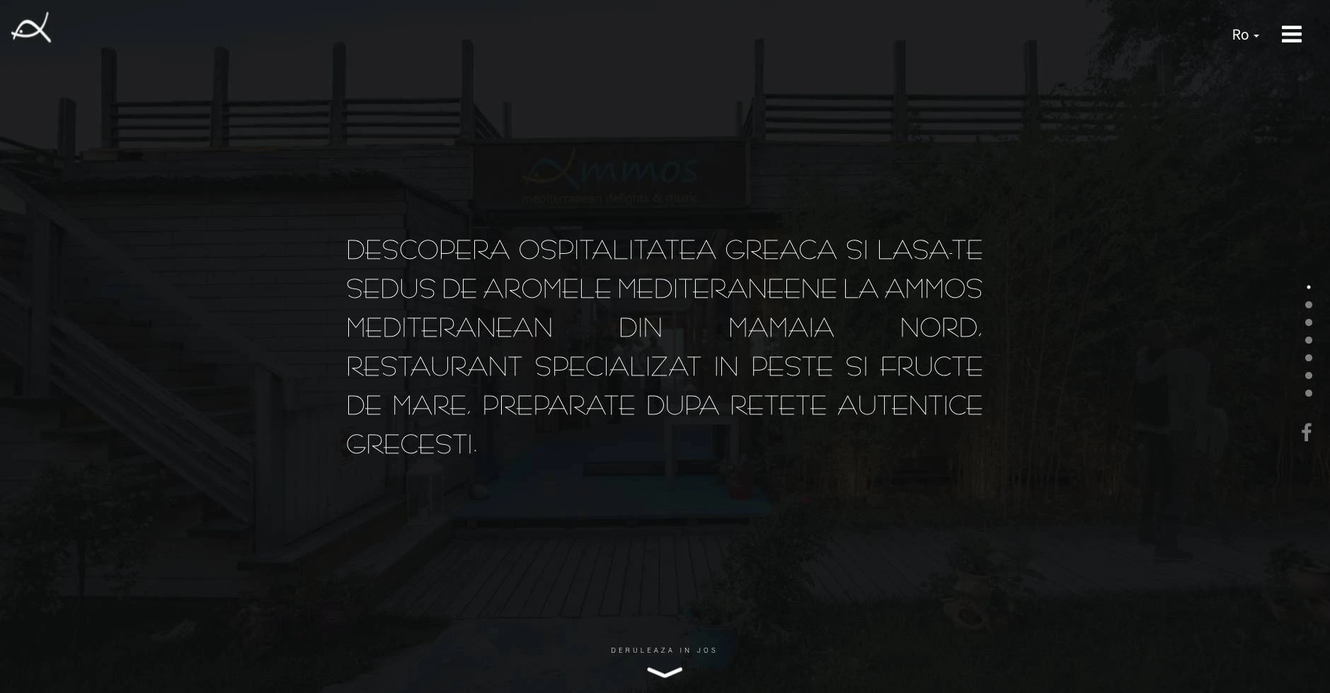 Description of the image