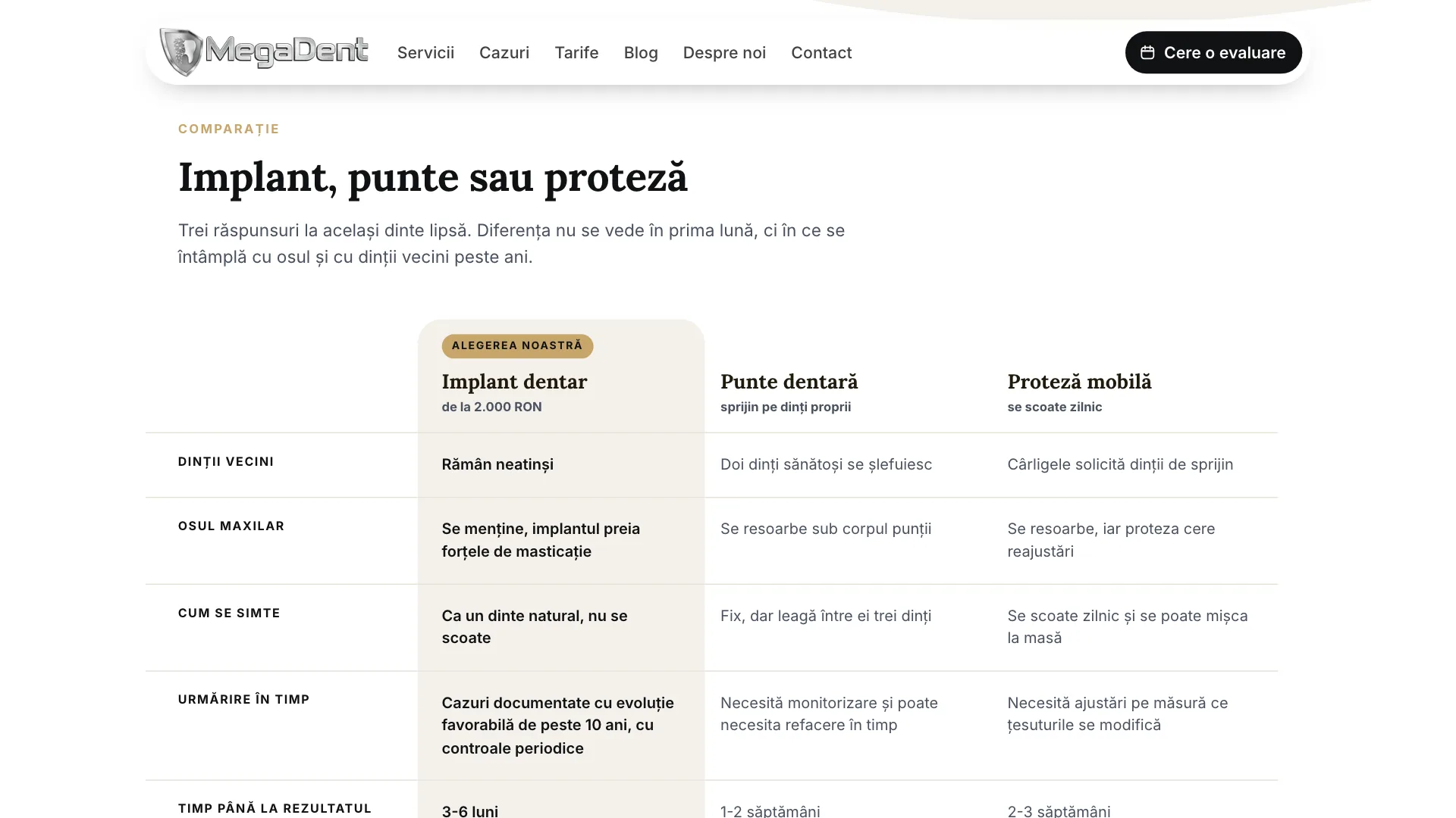 MegaDent, SEO & CONTENT